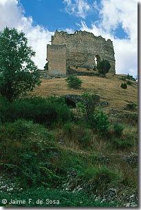 Castillo de Castillejo de Robledo (19Kb)