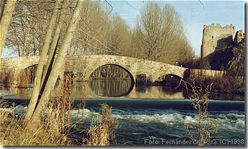 Puente romano y Torre del Agua (22KB)